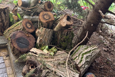 Почти грузовик дров передала бойцам ПВО Крыма жительница Симферополя