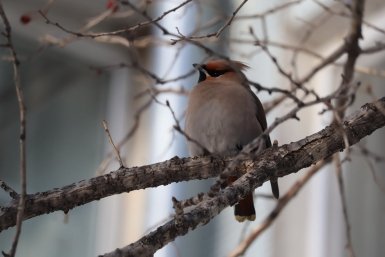 Южный циклон принесет дожди и сильный ветер 11 апреля в Приморье