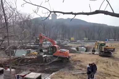 "Техники нагнали": что творится в знаменитом парке Владивостока – кадры