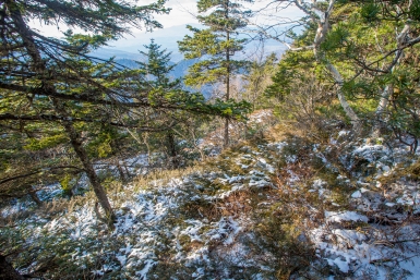 Названы новые версии трагедии с туристами на Камчатке