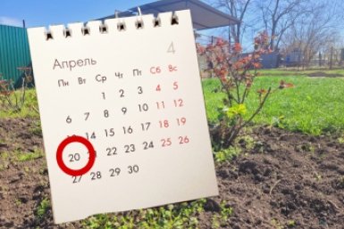 Дачники, посадите эти овощи до 20 апреля - иначе урожая не будет