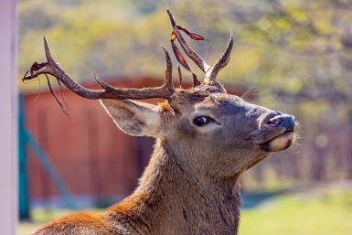 6072125.jpg?0678102100ce415ae15bd2bf86315f2b