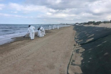Депутаты попросили прокуратуру и МЧС проверить загрязнение побережья под Темрюком