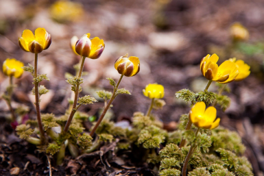 Погода на воскресенье: в Приморье потеплеет до +15°C