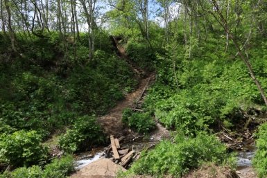 Тропа к Голыбым озерам Пресс-служба ЕМО