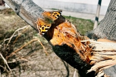 Лучшие фотографии Сахалина и Курил за неделю