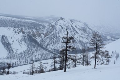 В Магадане в понедельник днем преимущественно без осадков и около 0º