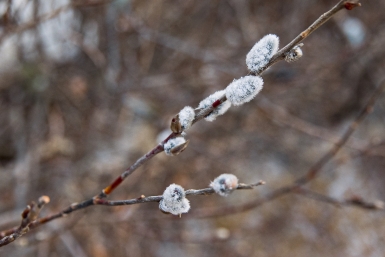 Ветер, облачность и локальные дожди: какая погода ждёт Приморье в начале рабочей недели