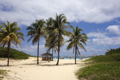 10 тыс. рублей - и вы у моря: на Шри-Ланку появились билеты по неожиданно низкой цене - такие "долго не живут"