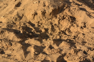 Удары США и Израиля нанесли урон историческим дворцам Ирана