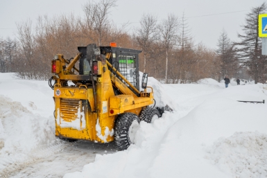 Уборка мусора и смета на проезжей части, вывоз снега с газонов, расчистка скверов Источник