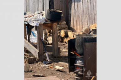 Штраф грозит семье из ЕАО за приготовление корма скоту на самодельном мангале