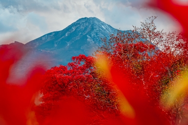 Новость дня