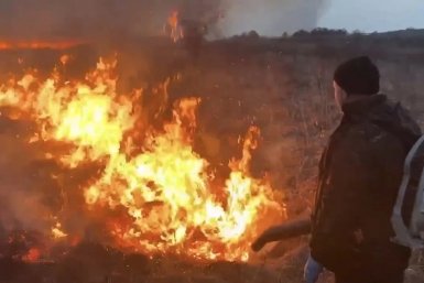 Четыре лесных пожара действуют в ЕАО на площади 56 тысяч га