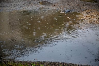 Новость дня