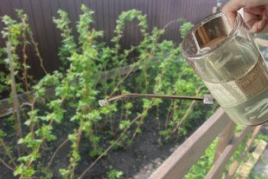 С апреля по июль заливаю этим весь огород - урожая столько, что даже соседи в шоке: секрет 1 мощного вещества