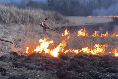 Новость дня