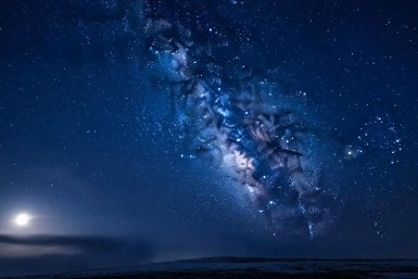 Резкость Дев, огонь Львов и тайный ход Водолеев: подробный гороскоп на 16 апреля