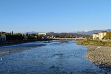 Росрыболовство проведёт эксперимент по вылову медуз в 2026 году