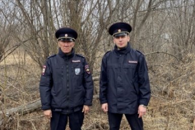 Новость дня