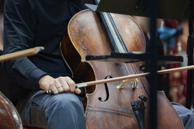 оркестр, классическая музыка, музыкальные инструменты, концерт Дмитрий Осипчук, ИА PrimaMedia