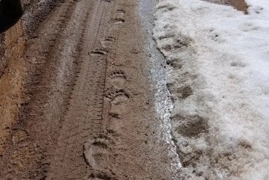 Инспекторы зафиксировали следы медведя в заказнике "Джилинский" в Забайкалье