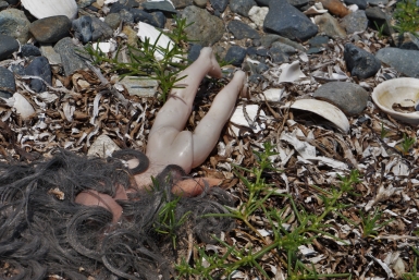 Новость дня