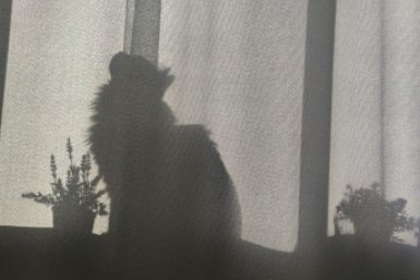 Без света 14 апреля останутся более 40 городов и сел на Ставрополье