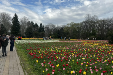 Краснодар и Новороссийск вошли в ТОП направлений для короткого отдыха