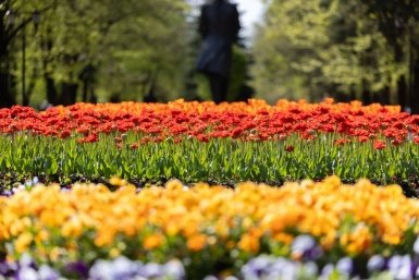 В Ставрополе экскурсии для школьников интегрируют в учебные планы