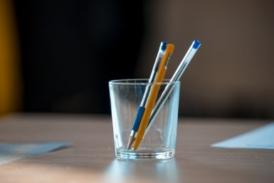 Ручка, карандаш Илья Аверьянов, ИА PrimaMedia.ru