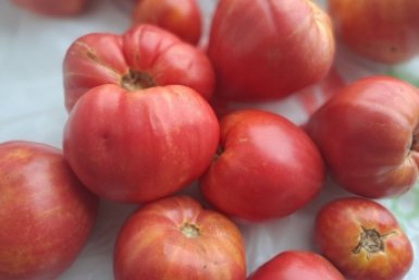 1 ложка в лунку к томатам при посадке - и помидоры сахарные точно мед, а внутри сочное "мясо"