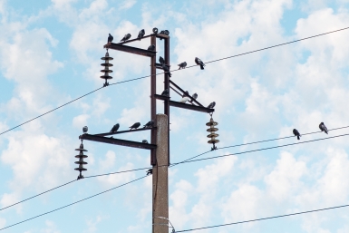 Электроснабжение отключат по нескольким адресам во Владивостоке 15 апреля