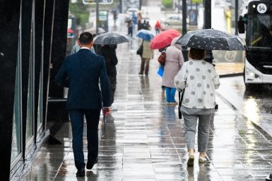 Небольшие и умеренные дожди —  прогноз погоды в Приморье 15 апреля