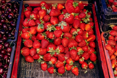 Кубанские фермеры объяснили стоимость местной клубники по 1700 рублей