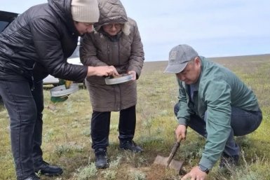 На Ставрополье и в Калмыкии начали совместный мониторинг саранчи пресс-служба Россельхознадзора Ставрополья