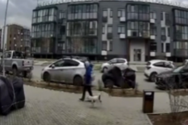 "Кричала на весь район": жуткий случай в Приморье потряс людей – кадры