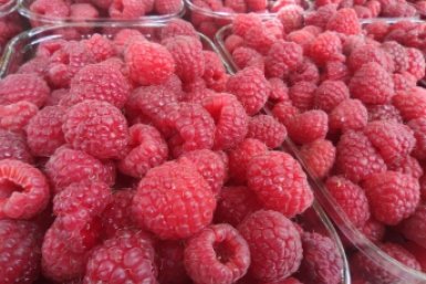 Малиновый рай начинается весной: 30 г на кв. метр - ягоды будут размером с пятирублевую монету