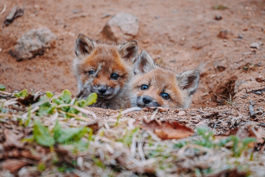 Тепло днём, мороз ночью: что ждёт Приморье в четверг
