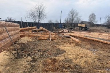 В Нижнеудинском районе пресекли незаконную рубку леса — ущерб превысил 700 тысяч рублей