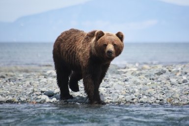 Тематическое фото Игорь Чёрный, ИА MagadanMedia.ru