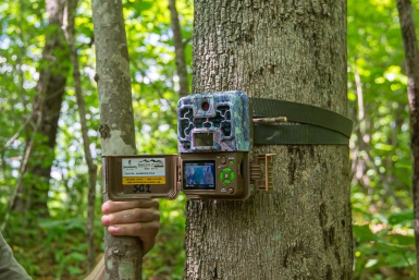 Фотоловушка ИА PrimaMedia