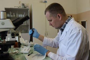 Исследование пресс-службы ЧГМА