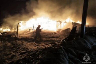 Крупный пожар ликвидировали в СНТ Иркутска днём 14 апреля