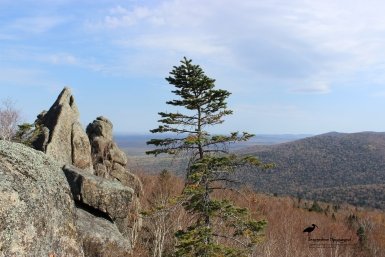 Огонь подошел к границам заповедника &quotБольшехехцирский&quot в Хабаровском крае ФГБУ &quotЗаповедное Приамурье&quot