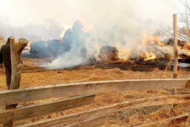 Сожгли корм для скота, пустили пал травы: семь юных поджигателей задержали в ЕАО