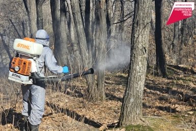 6082463.jpg?1577ddd21f9b1903df0df5814c2c28c0