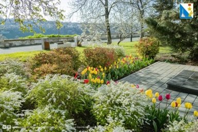 В Севастополе убирают пострадавшие от непогоды тюльпаны и обновляют клумбы