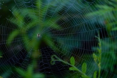 Тематическое фото Дмитрий Осипчук, ИА PrimaMedia.ru