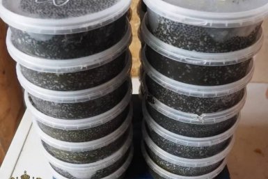 6083516.jpg?73e4ea1ddb32de3c2802ca5dc93bd37c